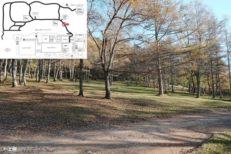 五光牧場オートキャンプ場 サイト解説 マップ左4列目 林間 下段7