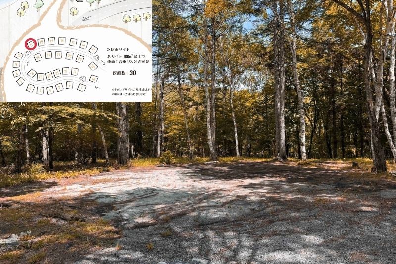 姫木平ホワイトバーチキャンプフィールド　白樺サイト（区画）　解説９.５