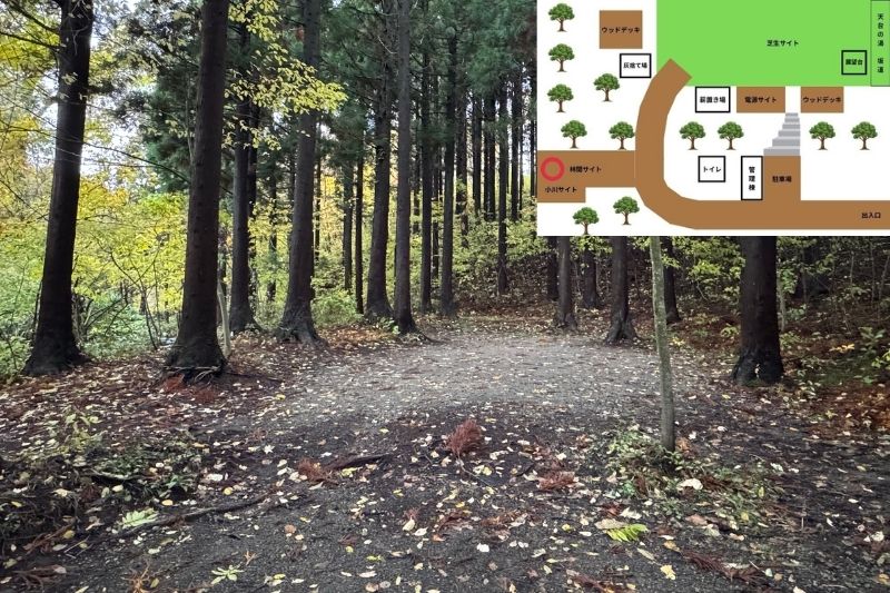 backyard camp　サイト解説　林間サイト２