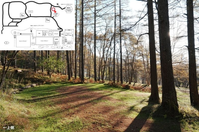 五光牧場オートキャンプ場 サイト解説 マップ左4列目 林間 中段3