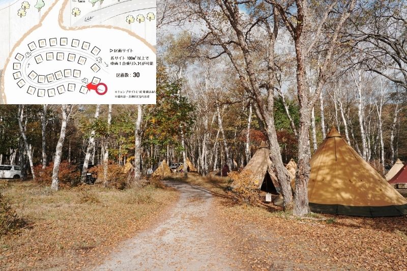 姫木平ホワイトバーチキャンプフィールド　白樺サイト（区画）　解説２