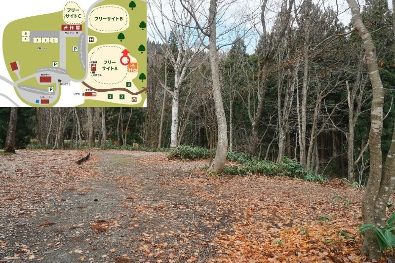 とことん山キャンプ場　フリーサイトA　解説６