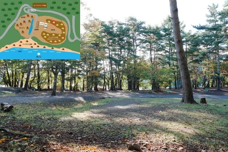 浩庵キャンプ場　林間サイト　解説１５