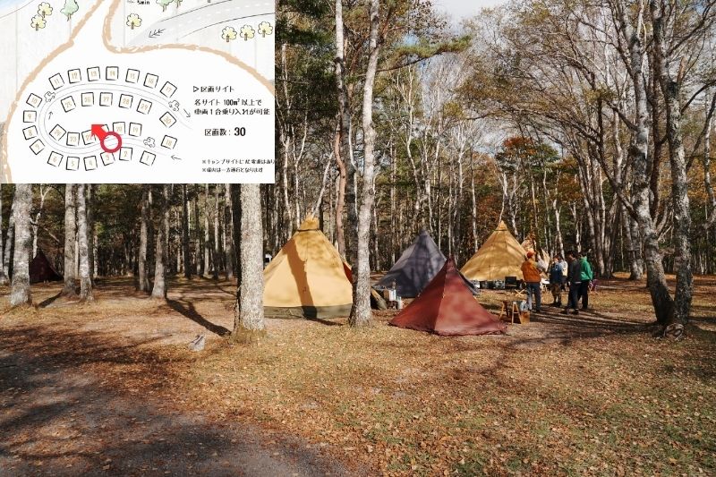 姫木平ホワイトバーチキャンプフィールド　白樺サイト（区画）　解説７