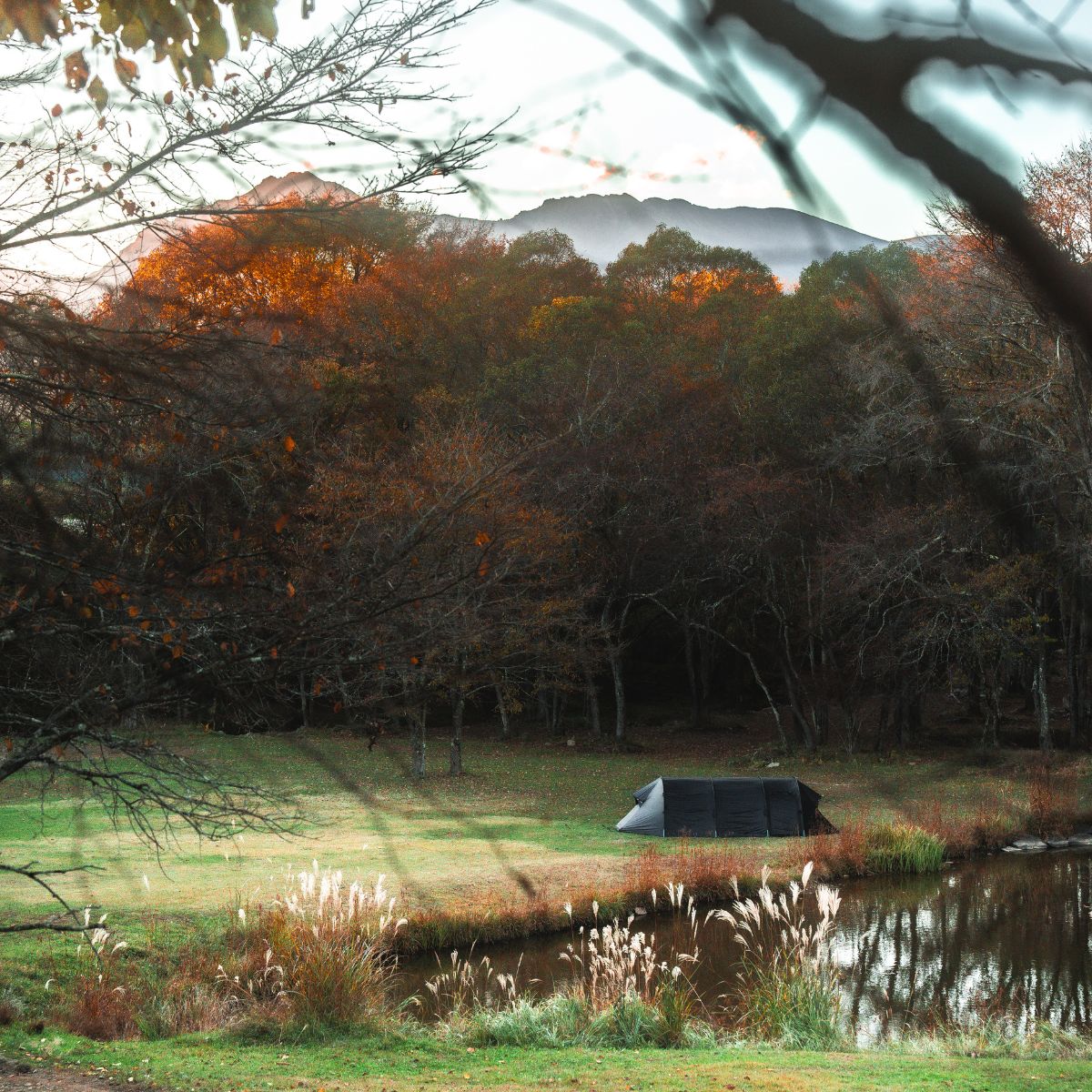 五光牧場オートキャンプ場 池周辺 八ヶ岳
