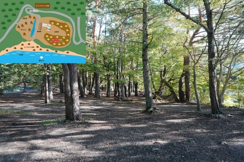 浩庵キャンプ場　林間サイト　解説６