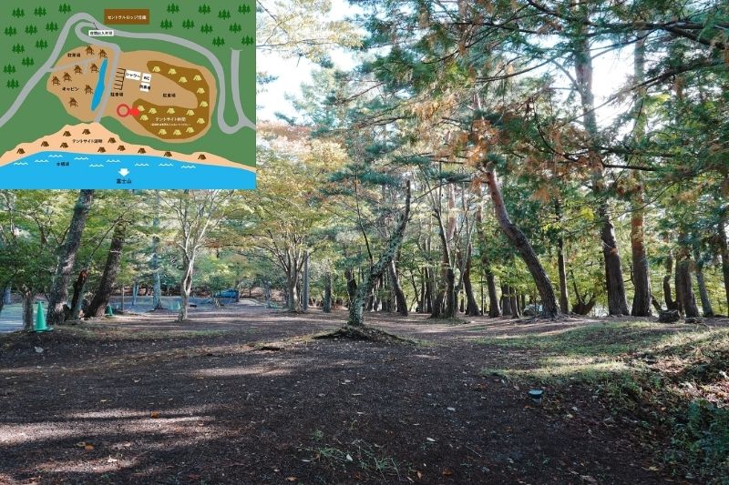 浩庵キャンプ場　林間サイト　解説４