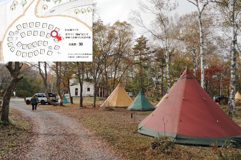 姫木平ホワイトバーチキャンプフィールド　白樺サイト（区画）　解説１４