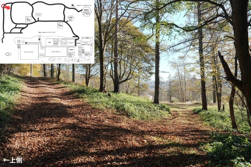 五光牧場オートキャンプ場 サイト解説 マップ左 林間 通路2
