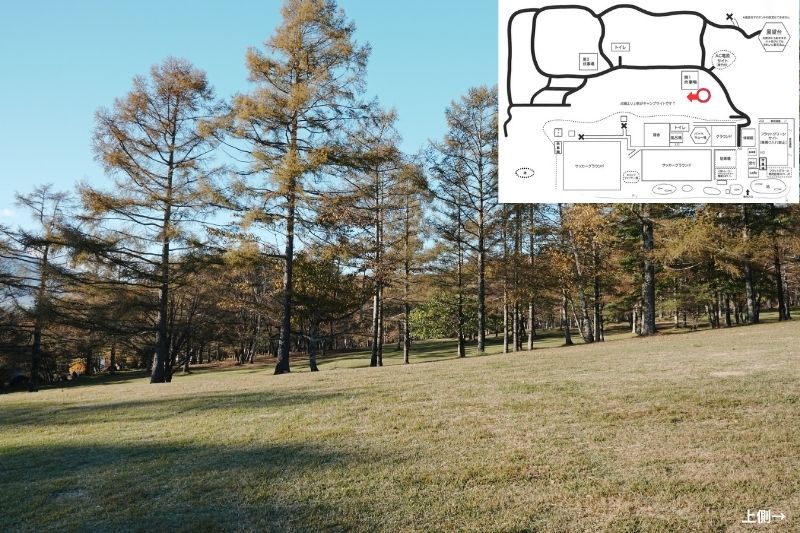 五光牧場オートキャンプ場 サイト解説 マップ左4列目 林間 下段10