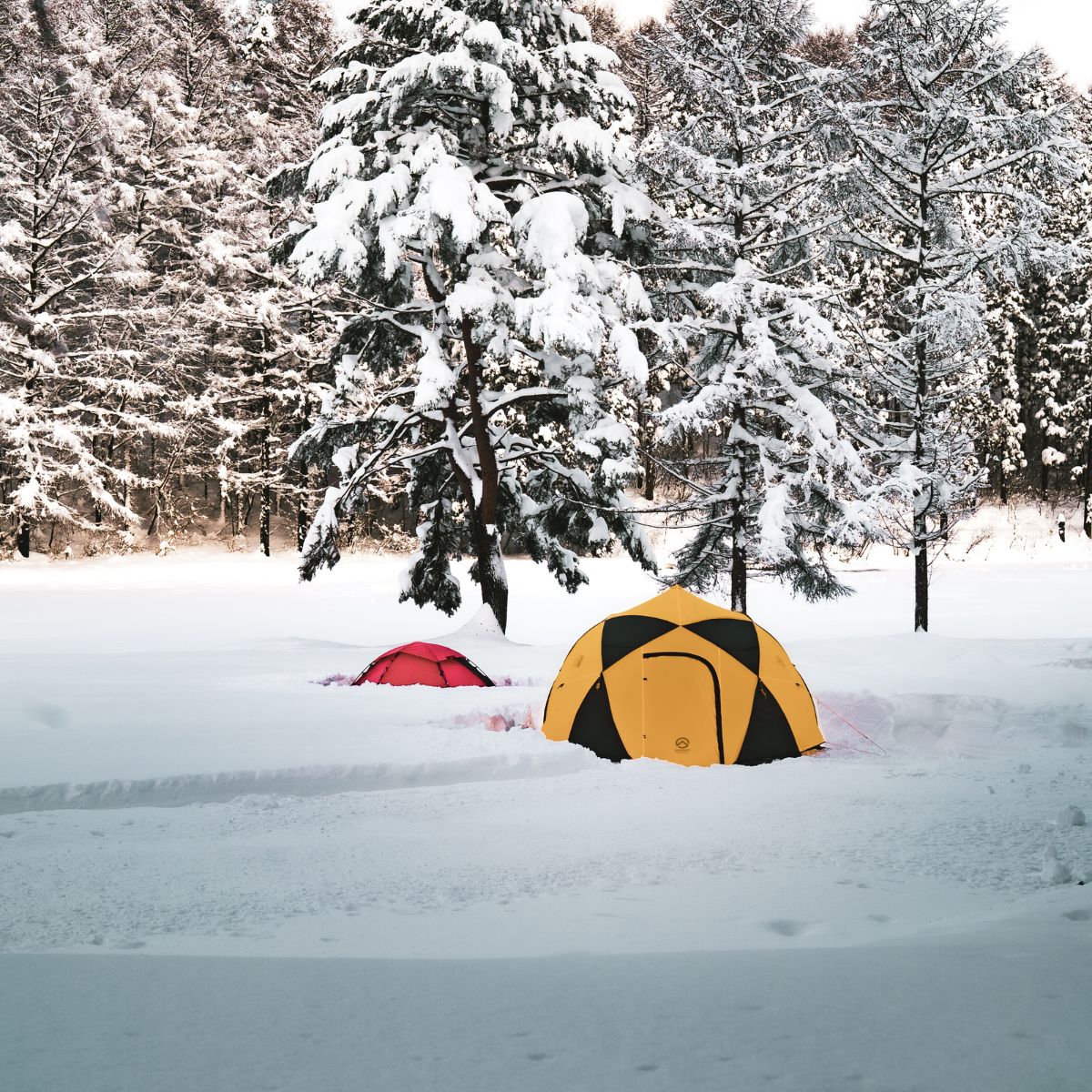 じゅんさい沼キャンプ場　冬キャンプ　夜