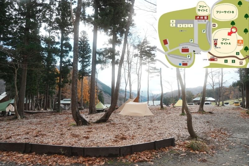 とことん山キャンプ場　フリーサイトA　解説５