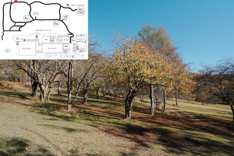 五光牧場オートキャンプ場 サイト解説 マップ左2列目 広場6