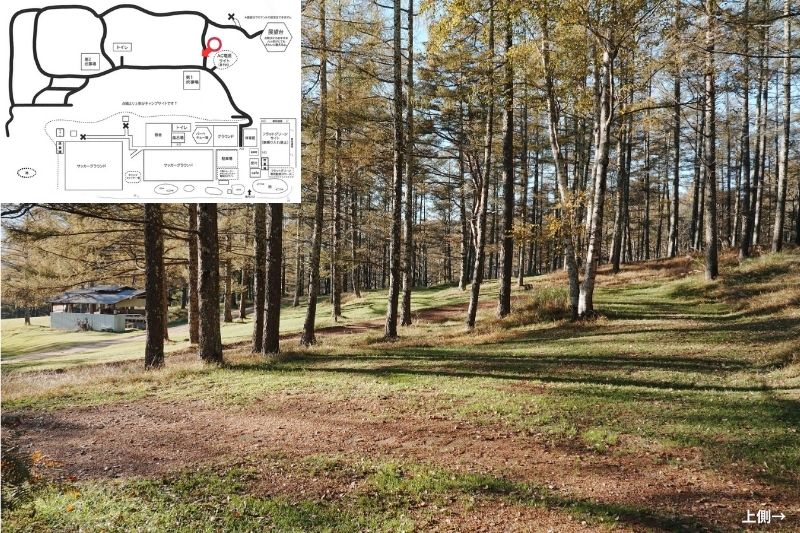 五光牧場オートキャンプ場 サイト解説 マップ左4列目 林間 中段1