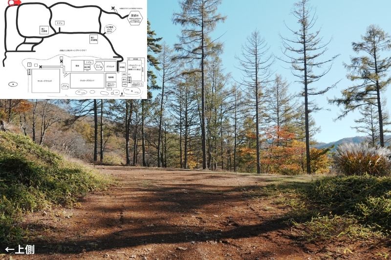 五光牧場オートキャンプ場 サイト解説 マップ左 林間11