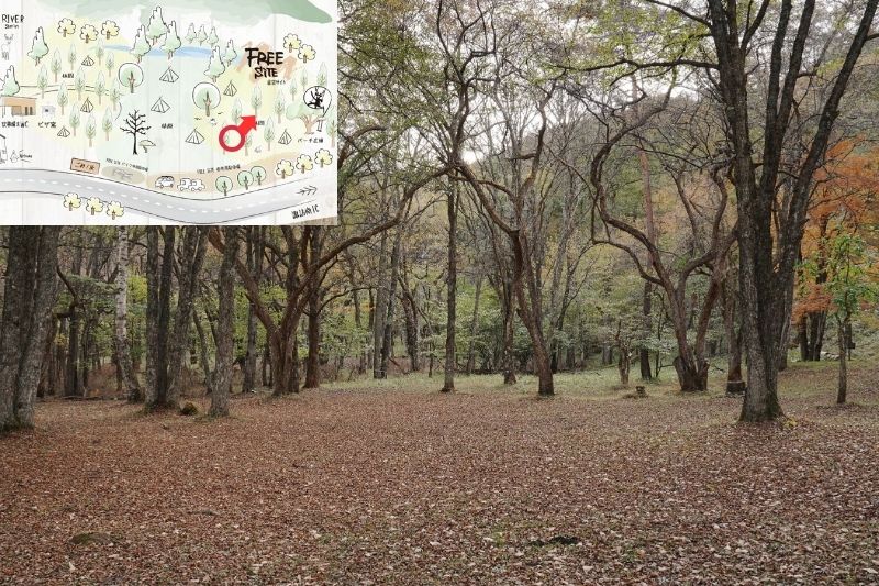 姫木平ホワイトバーチキャンプフィールド　星空サイト（フリー）　解説１７