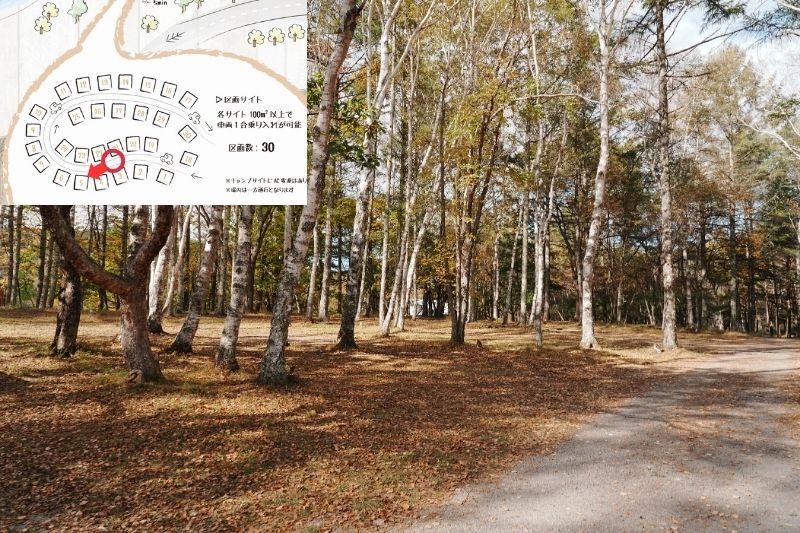 姫木平ホワイトバーチキャンプフィールド　白樺サイト（区画）　解説６