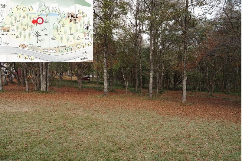 姫木平ホワイトバーチキャンプフィールド　星空サイト（フリー）　解説６