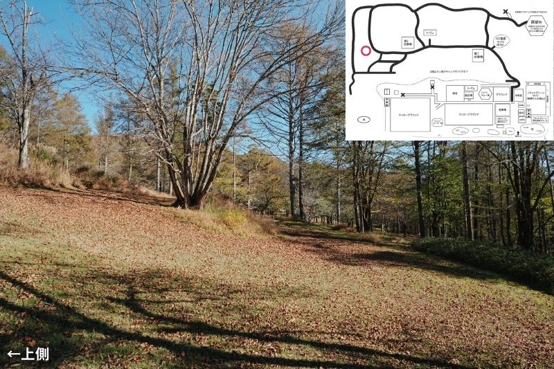 五光牧場オートキャンプ場 サイト解説 マップ左 林間4