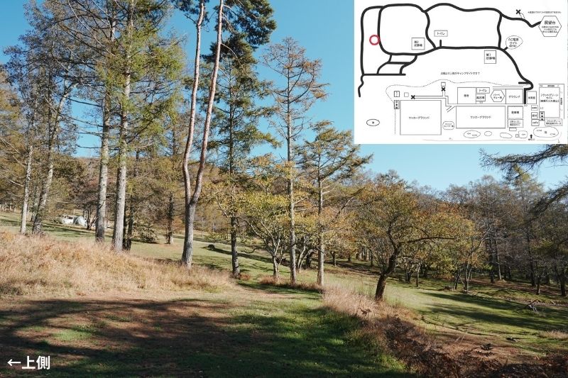 五光牧場オートキャンプ場 サイト解説 マップ左 林間6