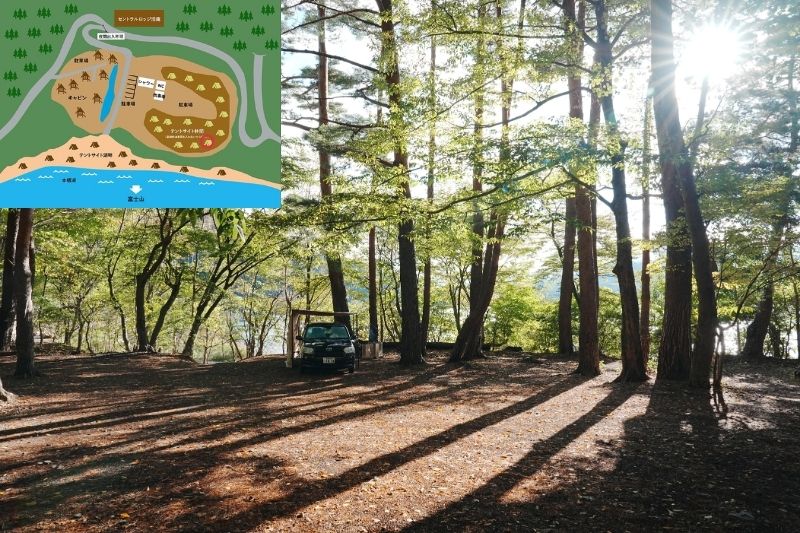 浩庵キャンプ場　林間サイト　解説１０