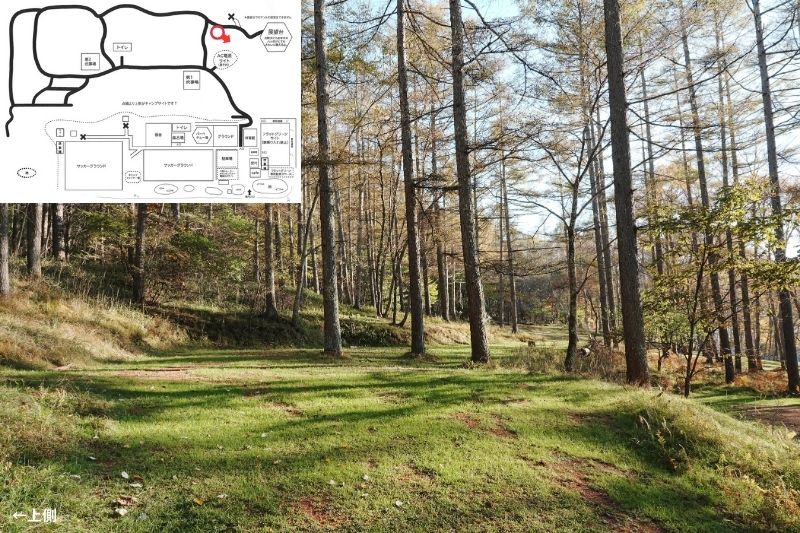 五光牧場オートキャンプ場 サイト解説 マップ左4列目 林間 中段4