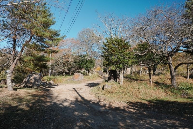 五光牧場オートキャンプ場 サイト解説 通路2 分岐の右