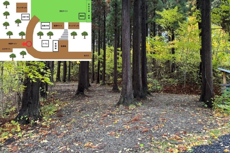 backyard camp　サイト解説　林間サイト１