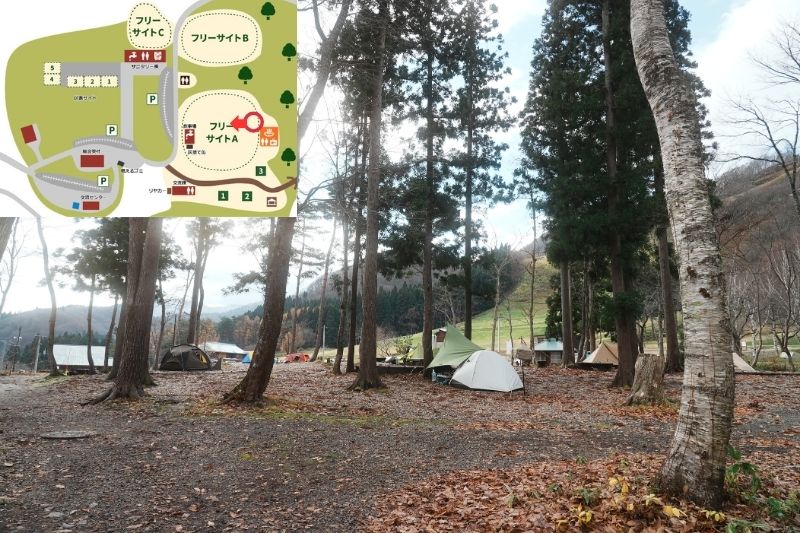 とことん山キャンプ場　フリーサイトA　解説７