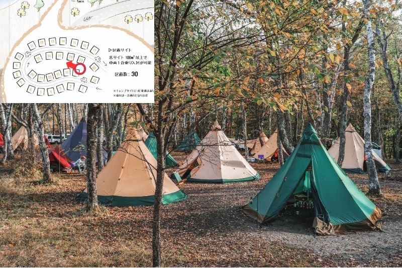 姫木平ホワイトバーチキャンプフィールド　白樺サイト（区画）　解説１２