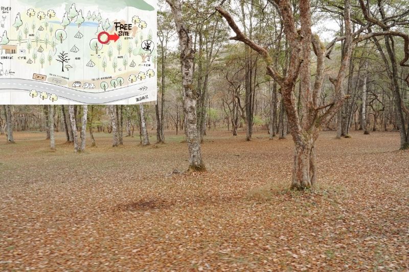 姫木平ホワイトバーチキャンプフィールド　星空サイト（フリー）　解説１９