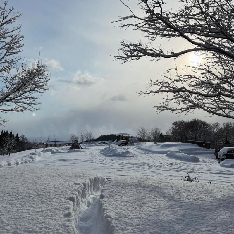 backyard camp　芝生サイト　冬