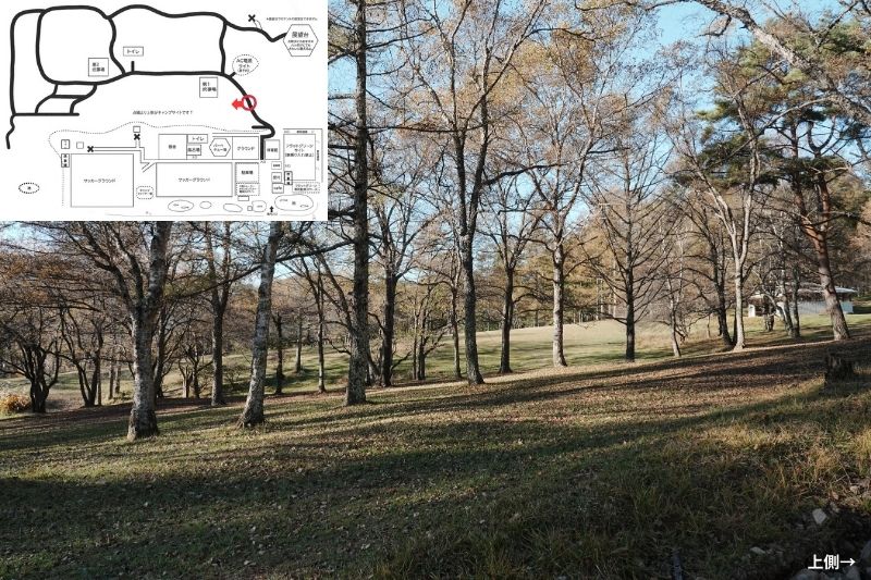 五光牧場オートキャンプ場 サイト解説 マップ左4列目 林間 下段4