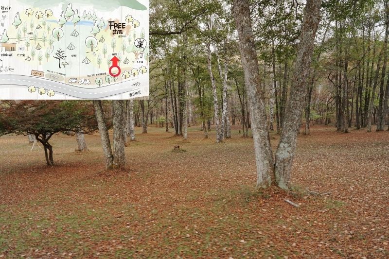 姫木平ホワイトバーチキャンプフィールド　星空サイト（フリー）　解説１５