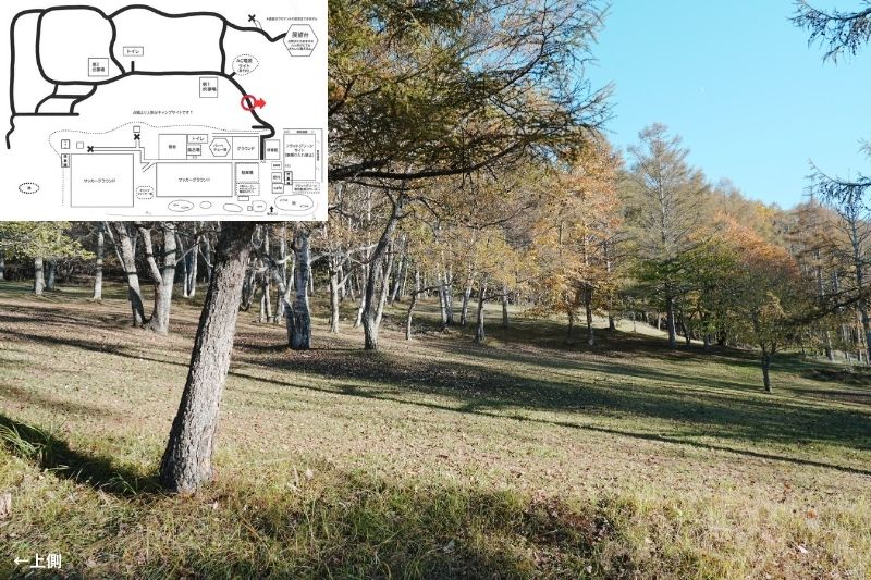 五光牧場オートキャンプ場 サイト解説 マップ左4列目 林間 下段5