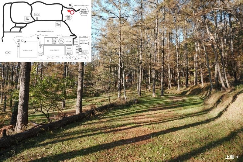 五光牧場オートキャンプ場 サイト解説 マップ左4列目 林間 中段5