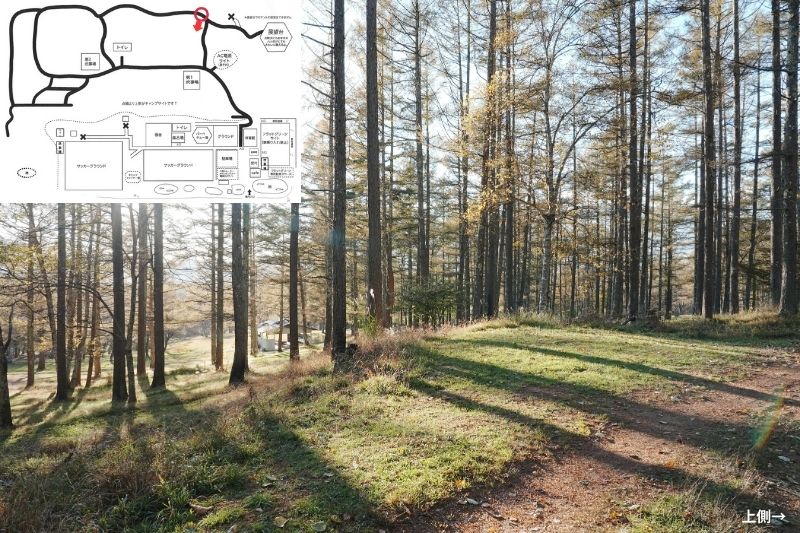 五光牧場オートキャンプ場 サイト解説 マップ左4列目 林間 上段1