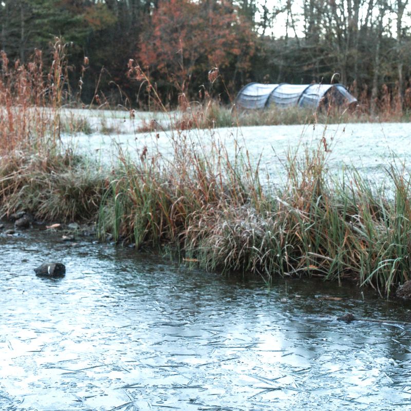 五光牧場オートキャンプ場 標高 寒さ 氷