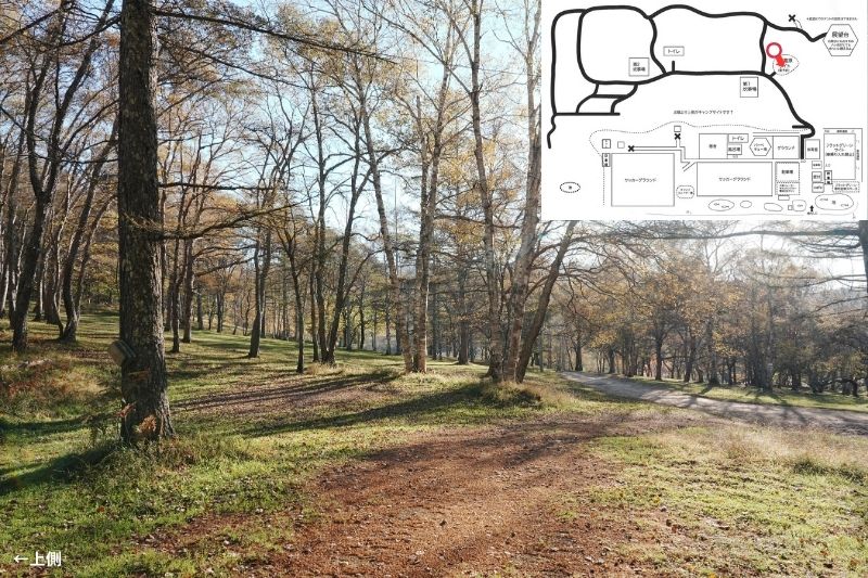 五光牧場オートキャンプ場 サイト解説 マップ左4列目 林間 中段2 電源