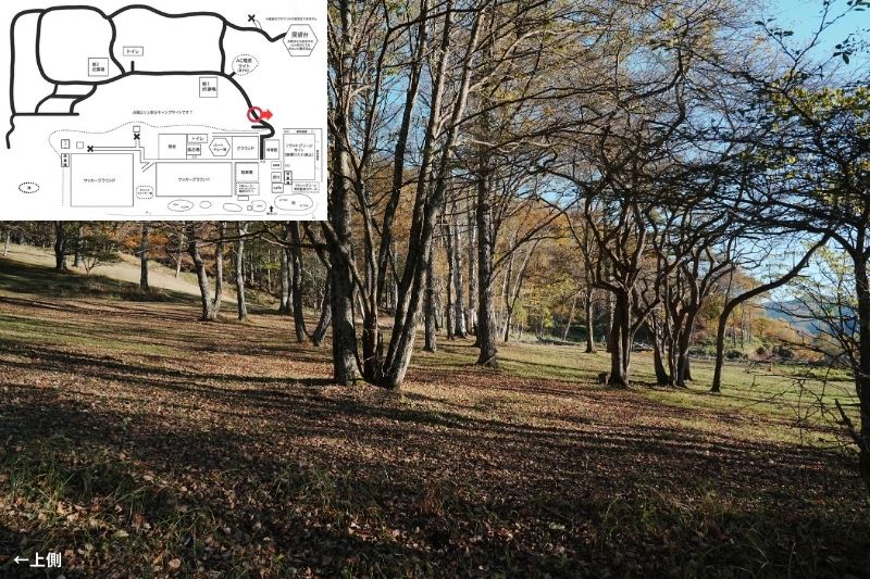 五光牧場オートキャンプ場 サイト解説 マップ左4列目 林間 下段3