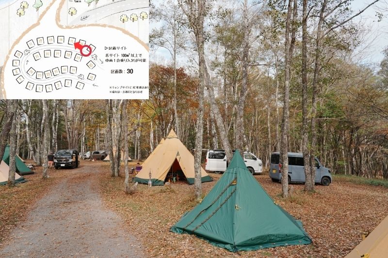 姫木平ホワイトバーチキャンプフィールド　白樺サイト（区画）　解説１１