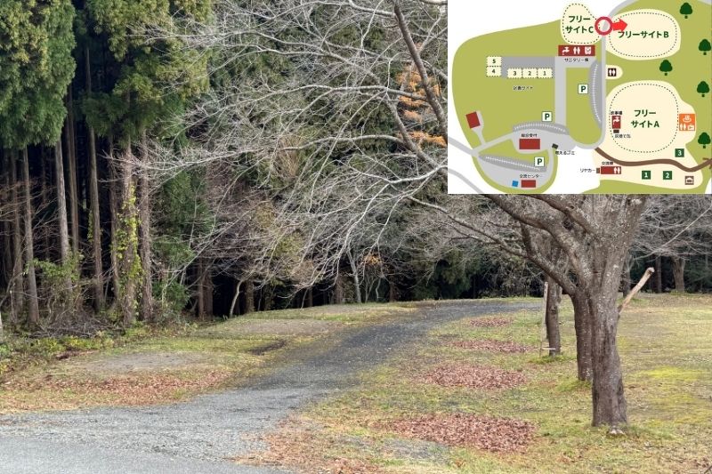 とことん山キャンプ場　フリーサイトB　上段１