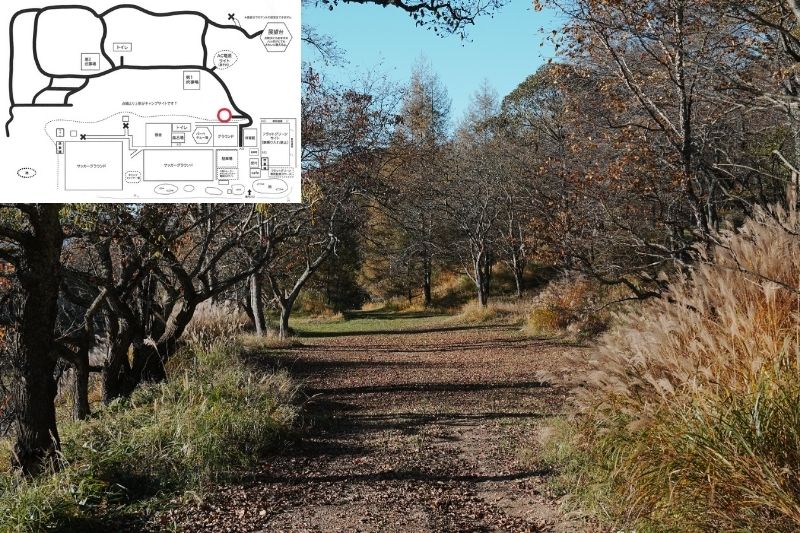 五光牧場オートキャンプ場 サイト解説 マップ左4列目 林間 下段1