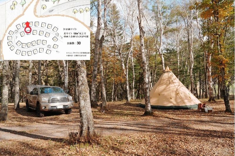 姫木平ホワイトバーチキャンプフィールド　白樺サイト（区画）　解説１０　