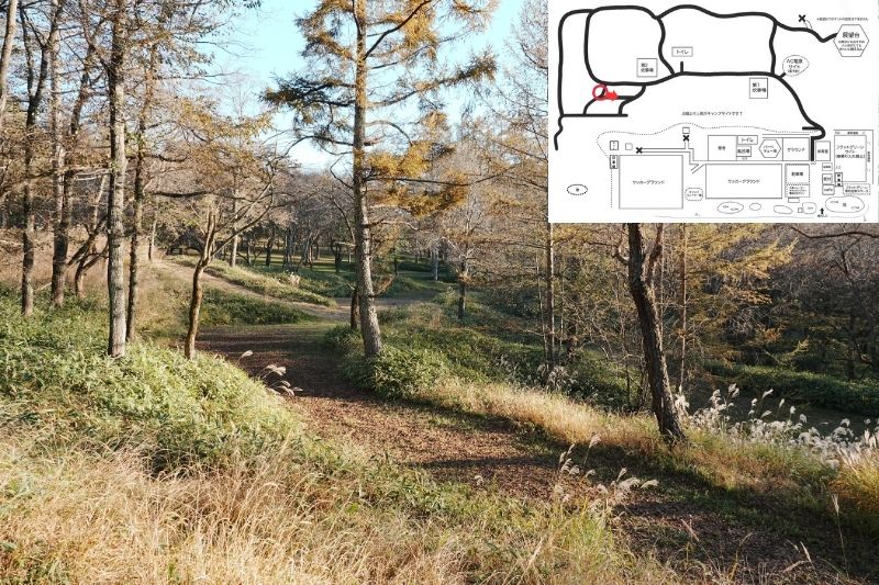 五光牧場オートキャンプ場 サイト解説 マップ左2列目 下段2