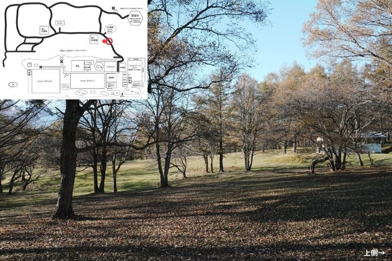 五光牧場オートキャンプ場 サイト解説 マップ左4列目 林間 下段6