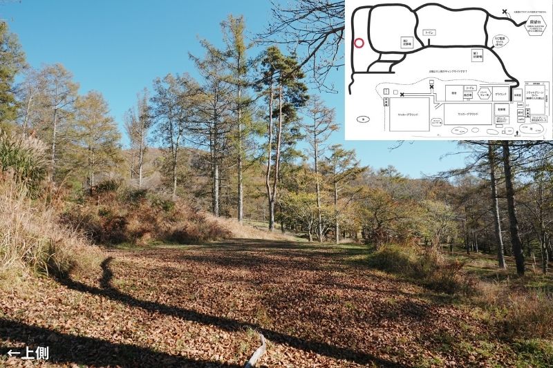 五光牧場オートキャンプ場 サイト解説 マップ左 林間5