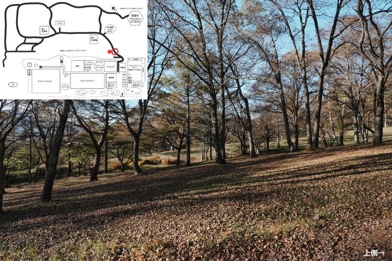 五光牧場オートキャンプ場 サイト解説 マップ左4列目 林間 下段2