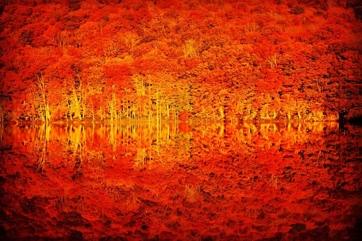 SASA SONYα7　撮影例２　蔦沼　紅葉　リフレクション