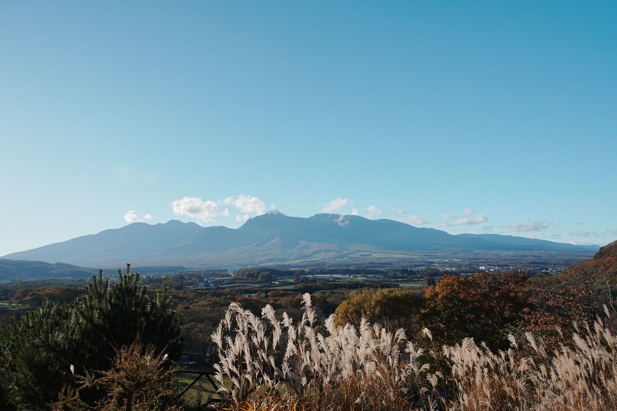 レタッチ前 一眼 写真